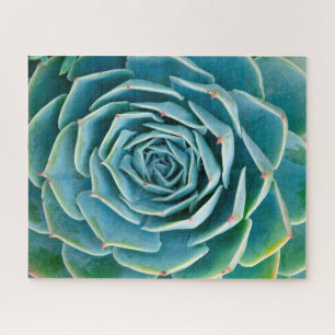 Echeveria rozet, Geheimtuin van Marrakech Legpuzzel