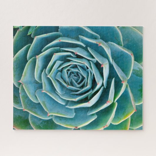 Echeveria rozet, Geheimtuin van Marrakech Legpuzzel (Horizontaal)