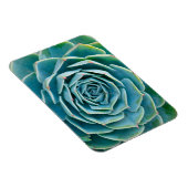 Echeveria rozet, Geheimtuin van Marrakech Magneet (Rechterzijde)