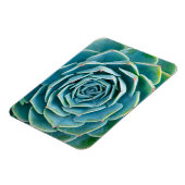 Echeveria rozet, Geheimtuin van Marrakech Magneet (Linkerzijde)