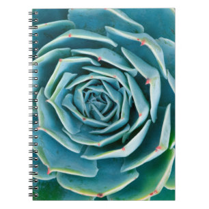 Echeveria rozet, Geheimtuin van Marrakech Notitieboek