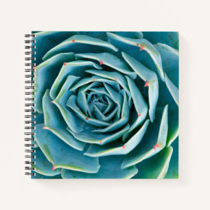 Echeveria rozet, Geheimtuin van Marrakech Notitieboek