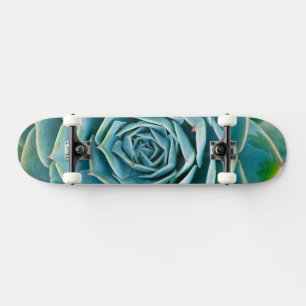 Echeveria rozet, Geheimtuin van Marrakech Persoonlijk Skateboard
