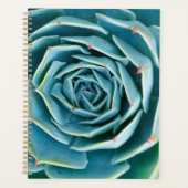 Echeveria rozet, Geheimtuin van Marrakech Planner (Voorkant)