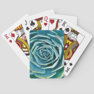 Echeveria rozet, Geheimtuin van Marrakech Pokerkaarten