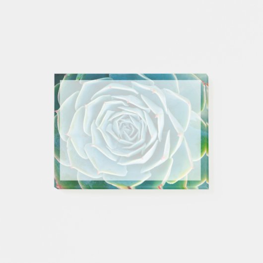Echeveria rozet, Geheimtuin van Marrakech Post-it® Notes (Voorkant)