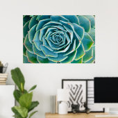 Echeveria rozet, Geheimtuin van Marrakech Poster (Thuiskantoor)