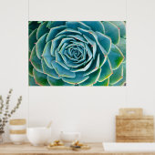 Echeveria rozet, Geheimtuin van Marrakech Poster (Keuken)