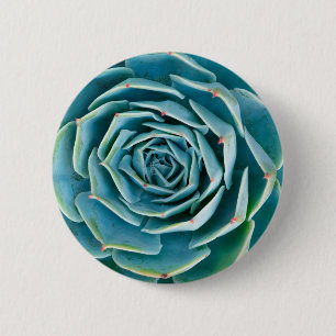 Echeveria rozet, Geheimtuin van Marrakech Ronde Button 5,7 Cm