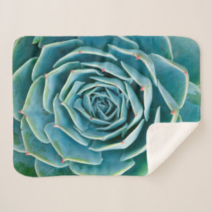 Echeveria rozet, Geheimtuin van Marrakech Sherpa Deken