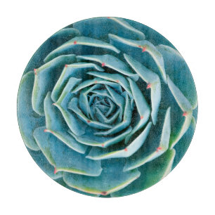 Echeveria rozet, Geheimtuin van Marrakech Snijplank
