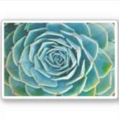 Echeveria rozet, Geheimtuin van Marrakech Sticker (Voorkant)