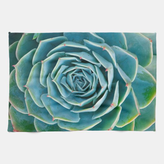 Echeveria Rozet, Geheimtuin van Marrakech Theedoek (Horizontaal)