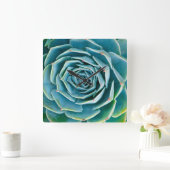 Echeveria rozet, Geheimtuin van Marrakesh Vierkante Klok (Huis)