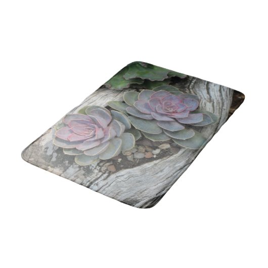 Echeveria Succulent Bath Mat (Gekanteld)