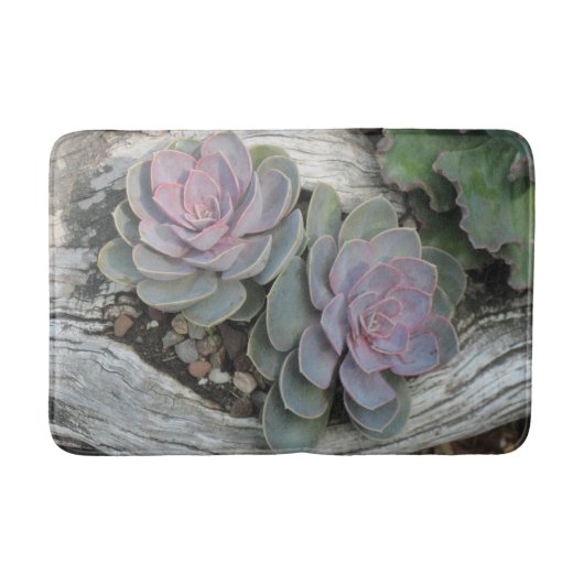 Echeveria Succulent Bath Mat (Voorkant)
