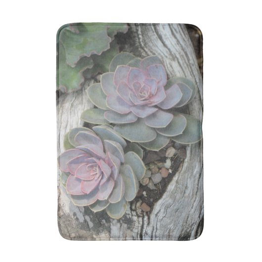 Echeveria Succulent Bath Mat (Voorkant Verticaal)