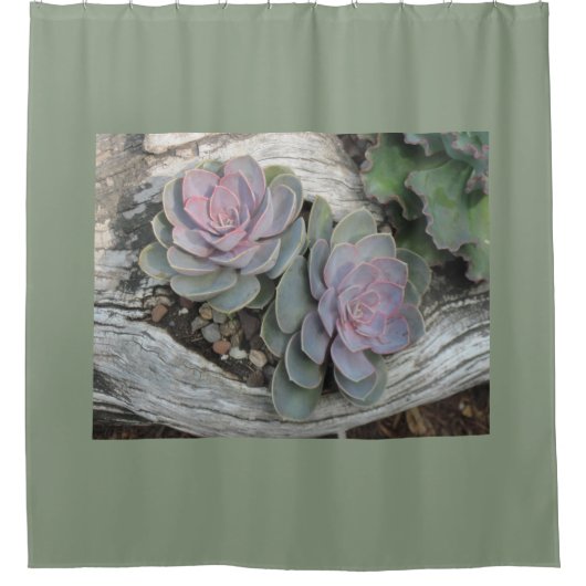 Echeveria Succulent Douchegordijn (Voorkant)