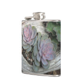 Echeveria Succulent Flask Heupfles (Links)