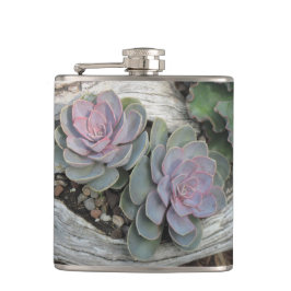 Echeveria Succulent Flask Heupfles