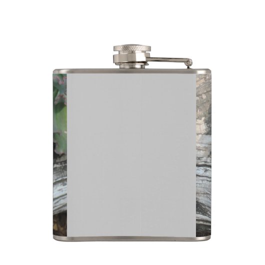 Echeveria Succulent Flask Heupfles (Achterkant)