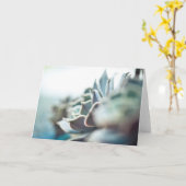Echeveria succulent kaart (Gele Bloem)