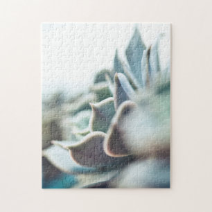 Echeveria succulent legpuzzel