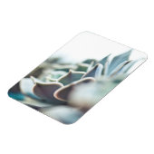 Echeveria succulent magneet (Linkerzijde)