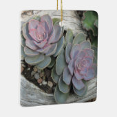 Echeveria succulent ornament (Rechts)