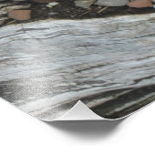 Echeveria Succulent Photo Print Foto Afdruk (Hoek)