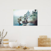 Echeveria succulent poster (Keuken)