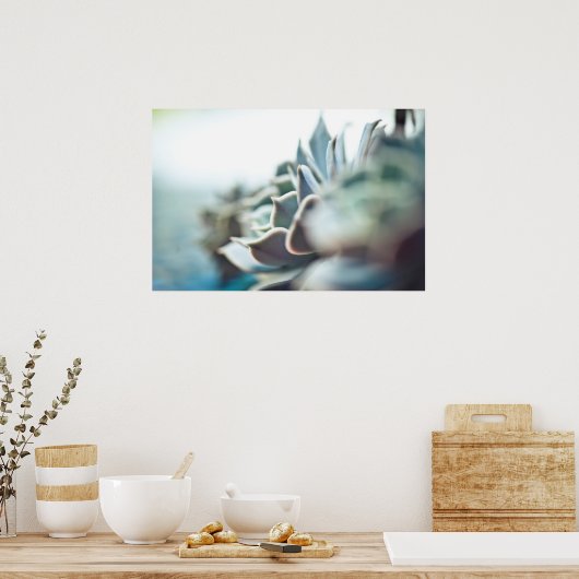 Echeveria succulent poster (Keuken)
