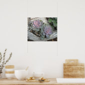 Echeveria Succulent Poster (Keuken)