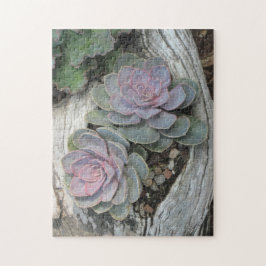 Echeveria Succulent Puzzle Legpuzzel