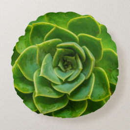 Echeveria Succulent Round Pillow Rond Kussen