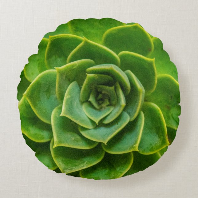 Echeveria Succulent Round Pillow Rond Kussen (Voorkant)