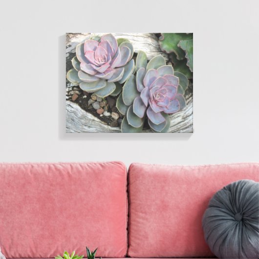 Echeveria Succulent Wrapped Canvas (Insitu (Woonkamer))