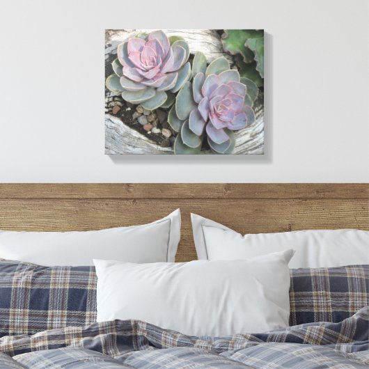 Echeveria Succulent Wrapped Canvas (Insitu (Slaapkamer))