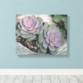Echeveria Succulent Wrapped Canvas Afdruk (Insitu (Houten vloer))