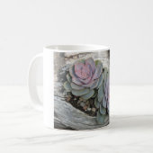 Echeveria Succulente Mok (Voorkant links)
