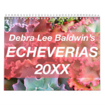 Echeverias 20XX kalender van Debra Lee Baldwin