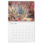 Echeverias 20XX kalender van Debra Lee Baldwin (Jan 2021)