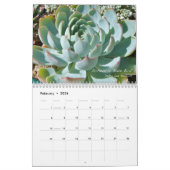 Echeverias 20XX kalender van Debra Lee Baldwin (Feb 2026)