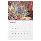 Echeverias 20XX kalender van Debra Lee Baldwin (Jan 2026)