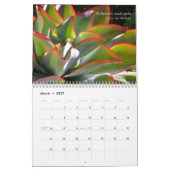 Echeverias 20XX kalender van Debra Lee Baldwin (Mar 2027)