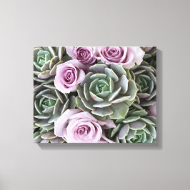 Echeverias en rozen van Debra Lee Baldwin Canvas Afdruk