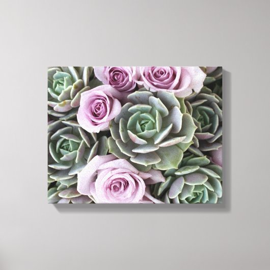 Echeverias en rozen van Debra Lee Baldwin Canvas Afdruk (Voorkant)