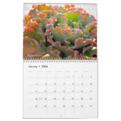 Echeverias Succulent 12 maanden Kalender (Jan 2026)