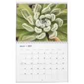 Echeverias Succulent 12 maanden Kalender (Mar 2027)