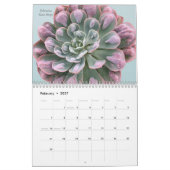 Echeverias Succulent 12 maanden Kalender (Feb 2027)